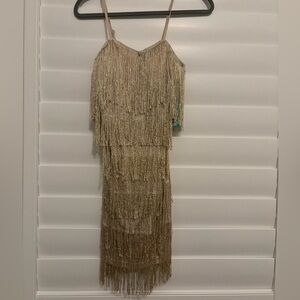 Flapper Girl Fringe Dress
